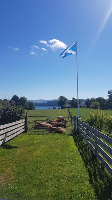 Cosy 2 Bedroom Croft Cottage With Beautiful Views North Kessock Exteriör bild